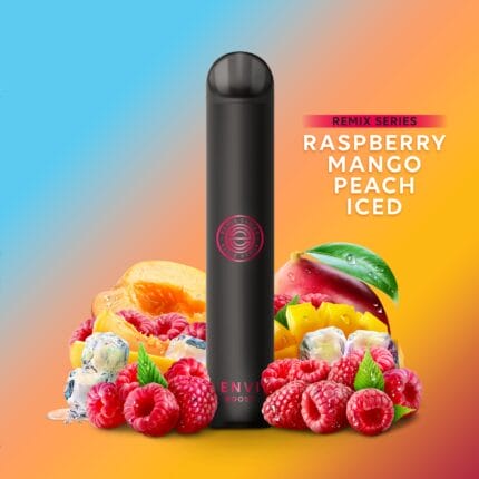 Envi Boost 1500 Puffs - Raspberry Mango Peach ICED - Remix Series