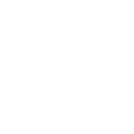 Salt Nicotine icon