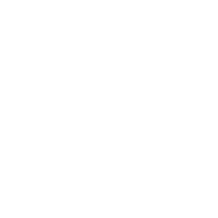 Salt Nicotine icon