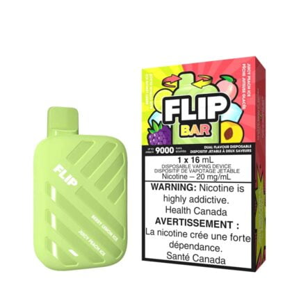 Flip Bar 9000 Puffs - Berry Lemon Ice & Juicy Peach Ice