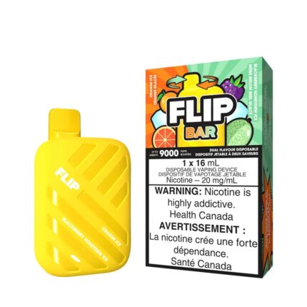 Flip Bar 9000 Puffs - Orange Ice & Blackberry Honeydew Ice